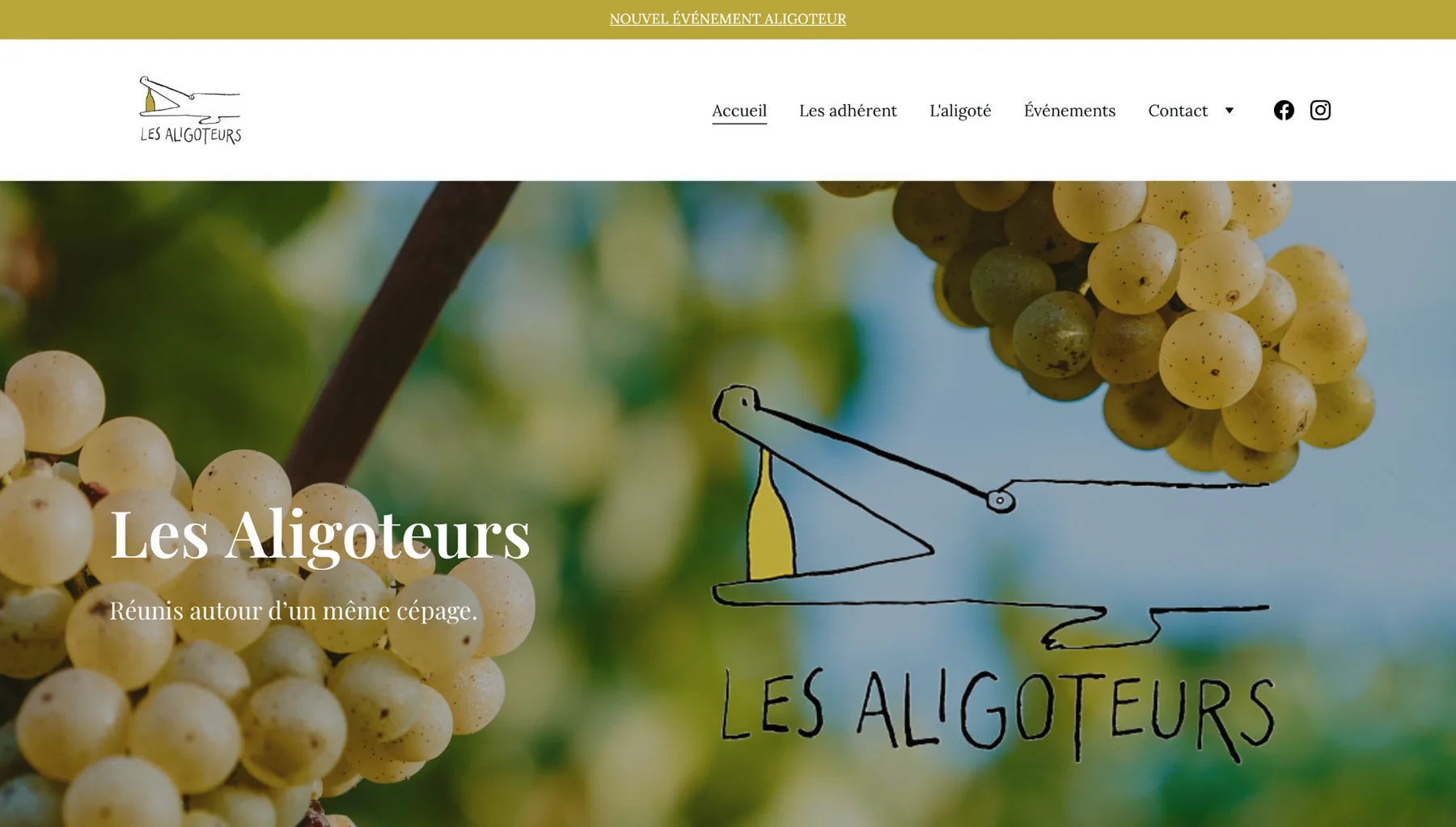 Les Aligoteurs — aperçu complet du projet