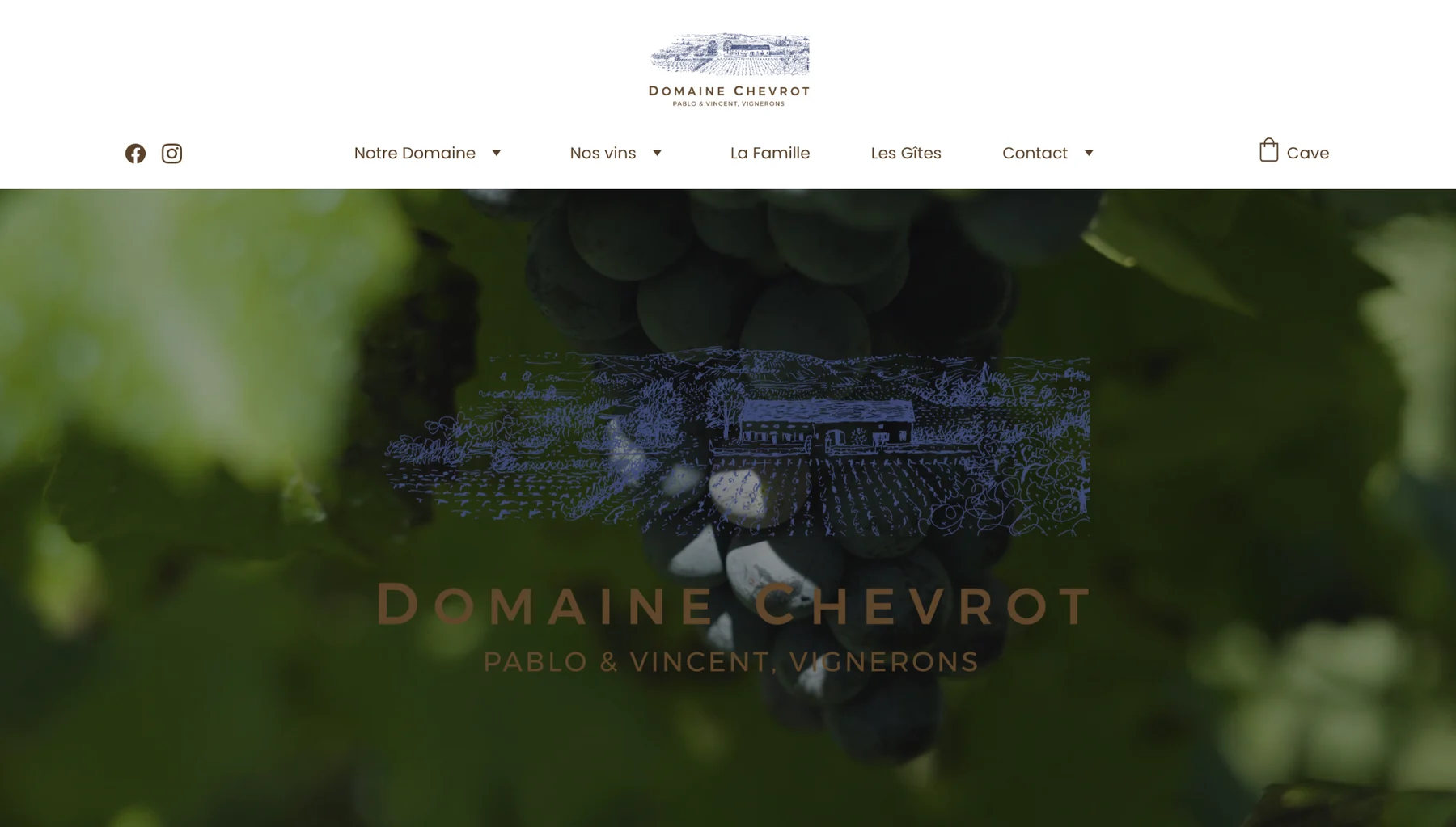 Domaine Chevrot — aperçu complet du projet