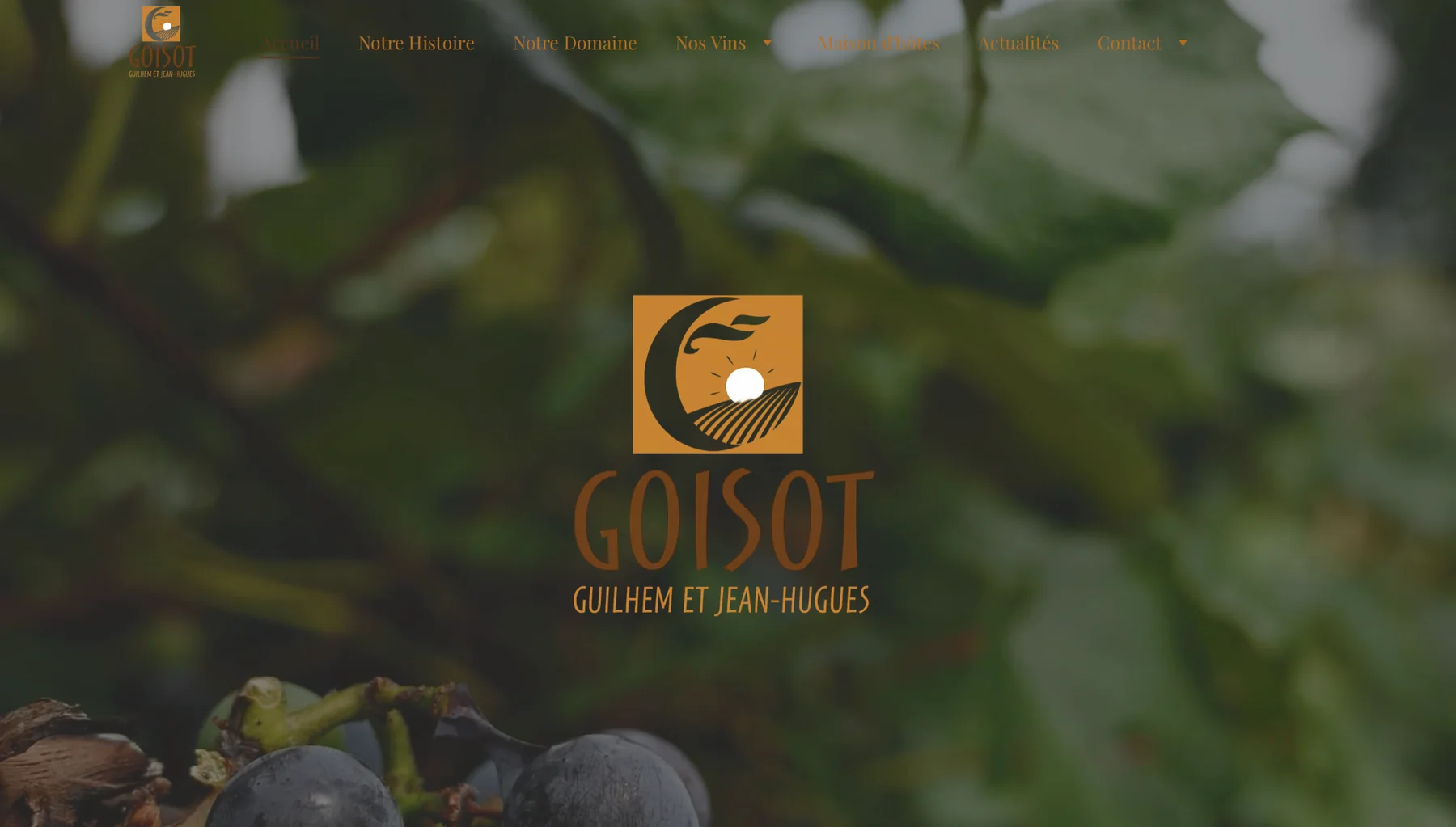 Domaine Goisot — aperçu complet du projet