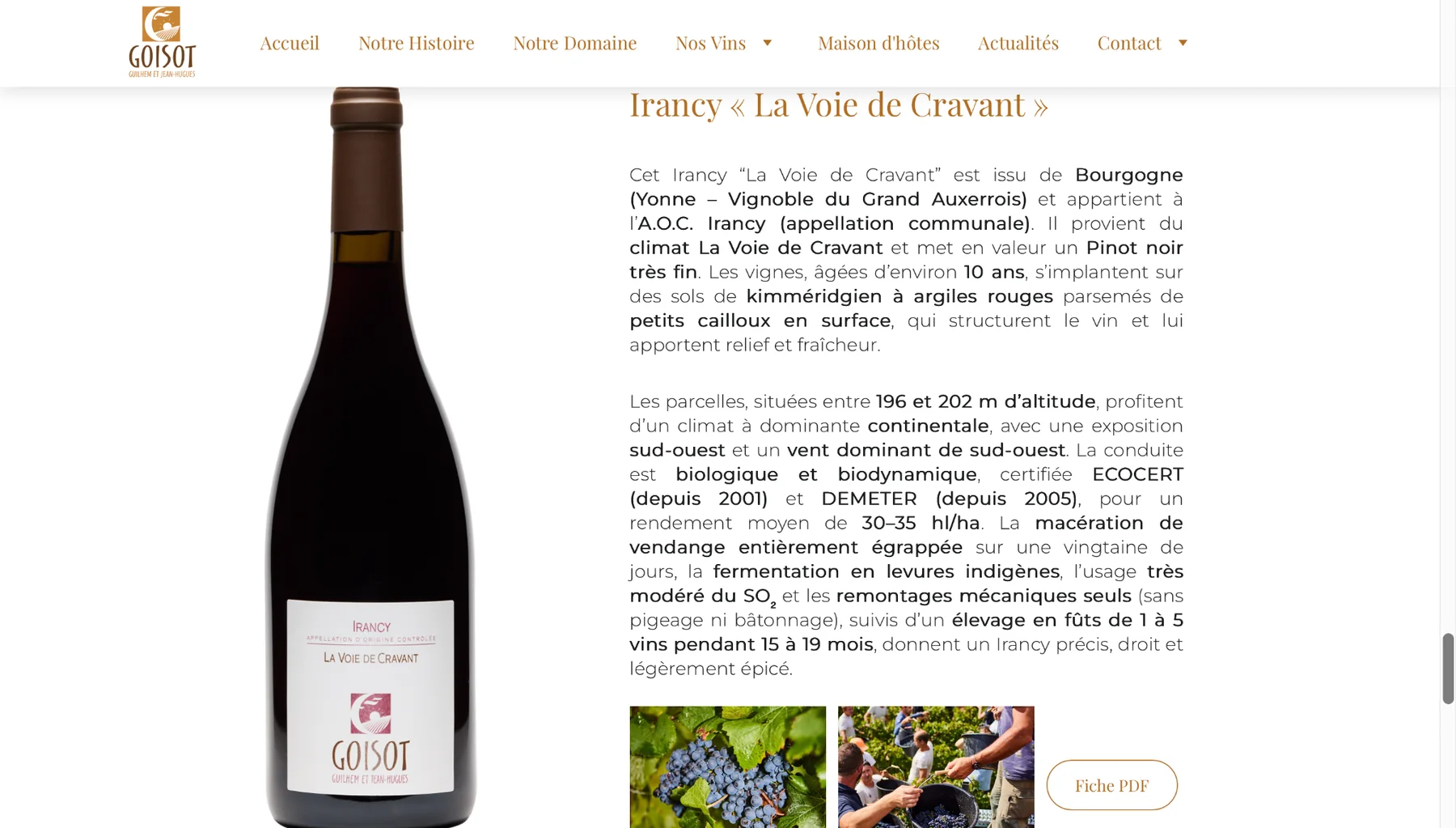 Projet Domaine Goisot