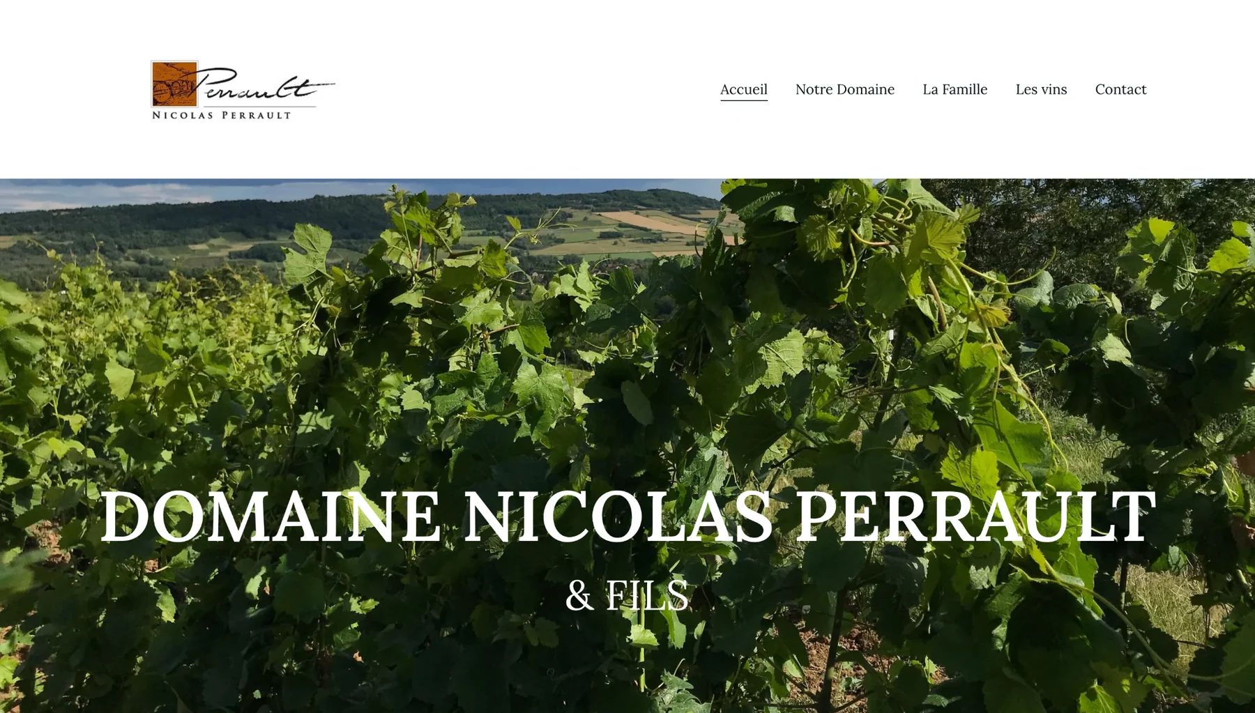 Domaine Nicolas Perrault & Fils — aperçu complet du projet